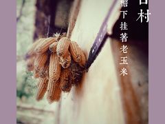 -井塘古村