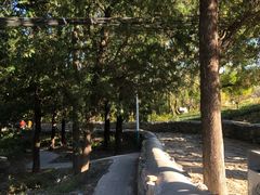 -阳台山自然风景区