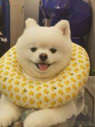 -HelloMiss舞蹈工作室