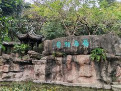 -深圳国际园林花卉博览园