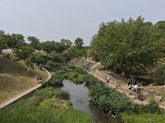 -羊山湖公园
