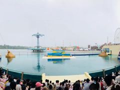 -秦皇岛乐岛海洋王国