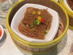 -海皇食府(水都假日酒店店)