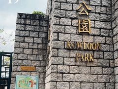 -九龙公园