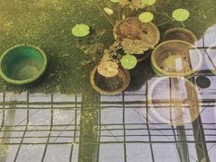 -上海鲜花港