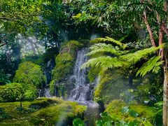 -Chom Cafe and Restaurant