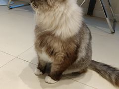 -怪兽屋·羊驼·猫咖·狗咖(俊华广场店)