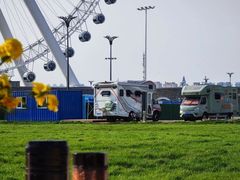 -呼兰河口湿地公园