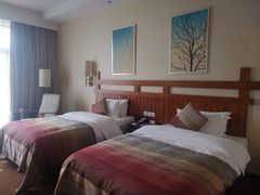 -雅安楠水阁温泉酒店