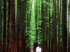 -山王坪喀斯特国家生态公园