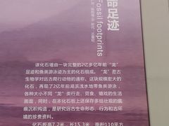 -长江文明馆
