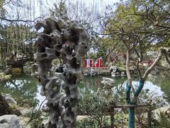 -上海醉白池公园