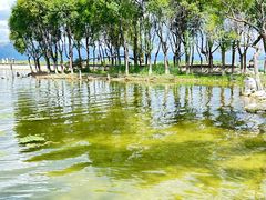 -大理洱海