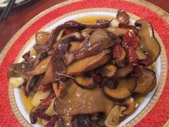 -菌之家·专业纯野生菌火锅·特色炒菌