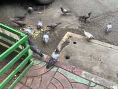 -唐人街(耀华力路)