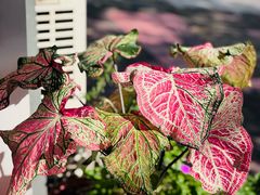 -WATER CAFE(广厦店)