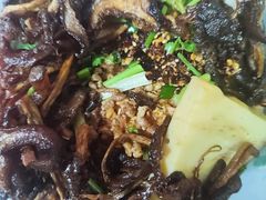 -昆明动物园