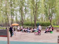 -森林公园(尖草坪区)