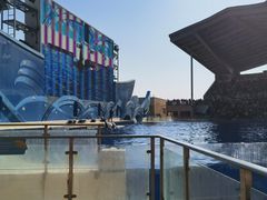 -上海海昌海洋公园