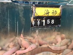 -小郭私房菜·海肠捞饭店(学士街店)