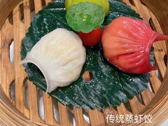 -点都德·毕德寮