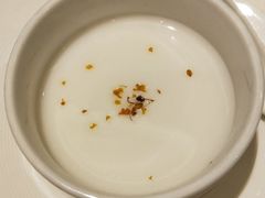 -诺莱仕游艇会