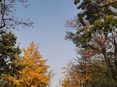 -八大关景区