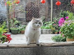 -老屋咖啡