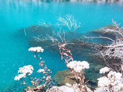 -叠溪松坪沟景区