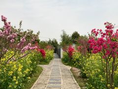 -南汇桃花村