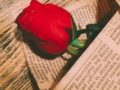 -胡桃里乐队酒馆(鎏嘉码头店)