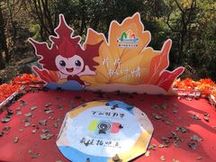 -广州市石门国家森林公园