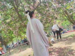 -长白岛森林公园