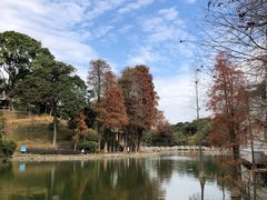 -广州市白云山风景名胜区