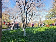 -杭州湖滨in77
