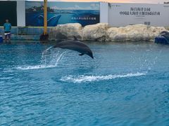 -三亚海昌梦幻海洋不夜城