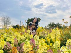 -三圣花乡旅游区