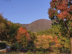 -塔川景区