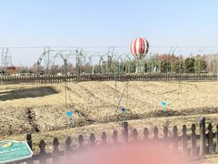 -荷兰花海