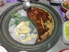 -生活如沸·顺德水牛奶火锅(大学路店)