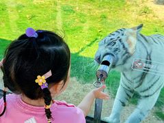 -西霞口神雕山野生动物世界