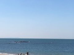 -海驴岛(荣成市)
