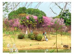 -梅花山(明孝陵内)