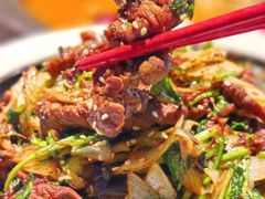 -秀儿四九城·新京菜(亚运村鸟巢店)