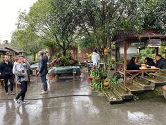 -青城甲(青城山店)