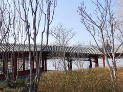 -北坞公园