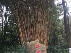 -邓小平故里