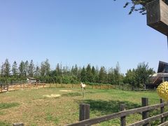 -田园东方蜜桃村的田野营地
