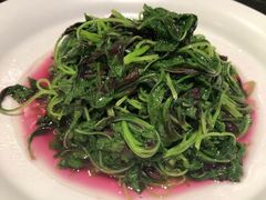 -蝶园·装修中(BFC外滩金融中心店)