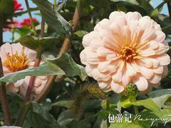 景点-皇粮浜公园